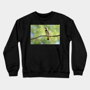 Flicker Crewneck Sweatshirt